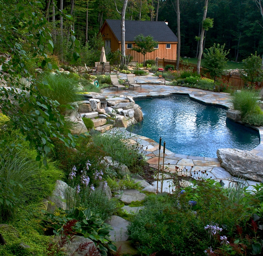 Natural Freeform Pool